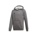 CORE18 HOODY Y