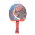 Pala ping pong eqsi
