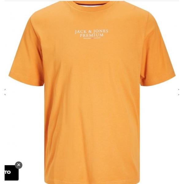 JPRBLUARCHIE SS TEE CREW NECK