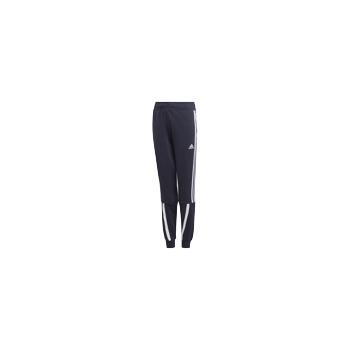 B BOLD PANT