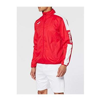CHAMPION IV
