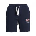 JPSTANDY SWEAT SHORTS JNR