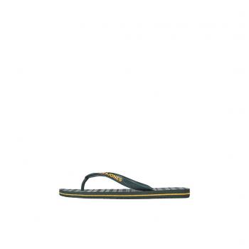 JFWBASIC FLIP FLOP