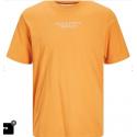 JPRBLUARCHIE SS TEE CREW NECK