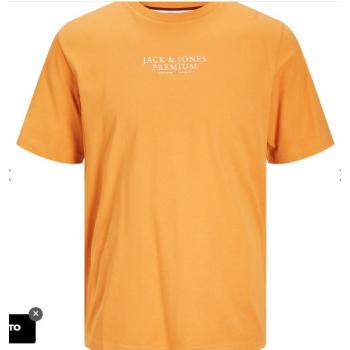 JPRBLUARCHIE SS TEE CREW NECK