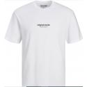 JORVESTERBRO TEE SS