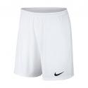 DRI FIT PARK III