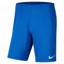 DRI FIT PARK III