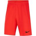 DRI FIT PARK III