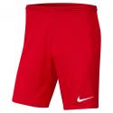 DRI FIT PARK III