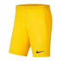 DRI FIT PARK III