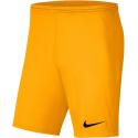 DRI FIT PARK III
