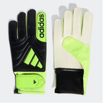 COPA GL CLB