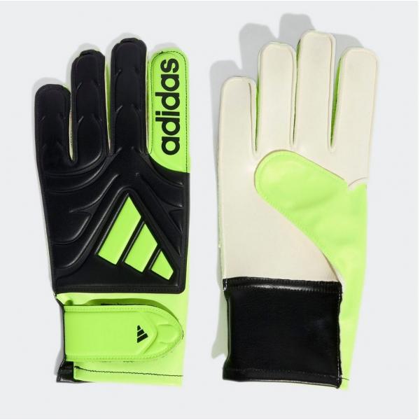 COPA GL CLB